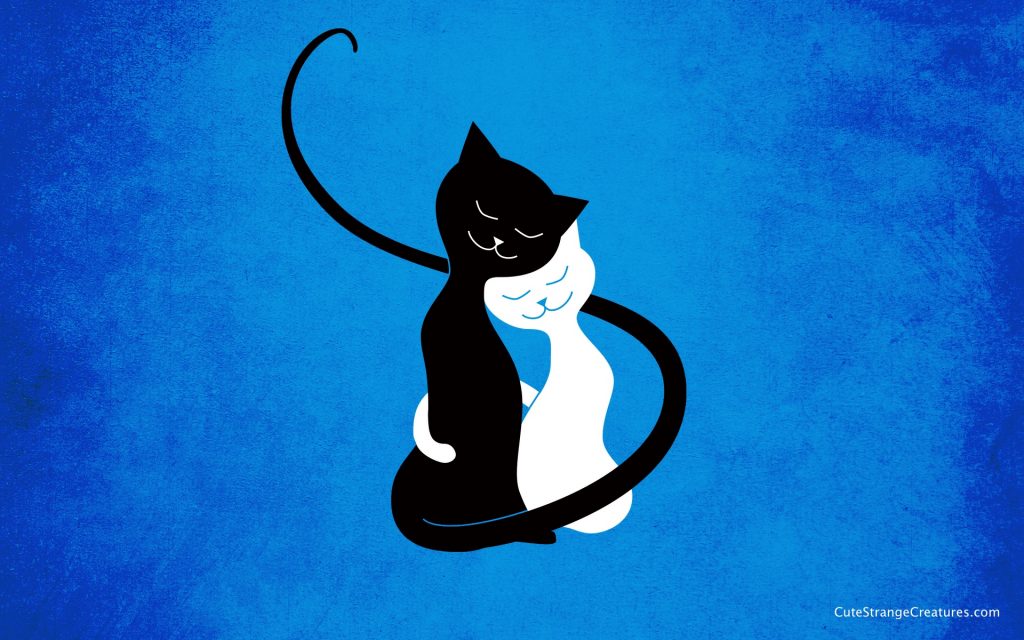 cat love wallpaper,cat,black cat,small to medium sized cats,felidae,whiskers