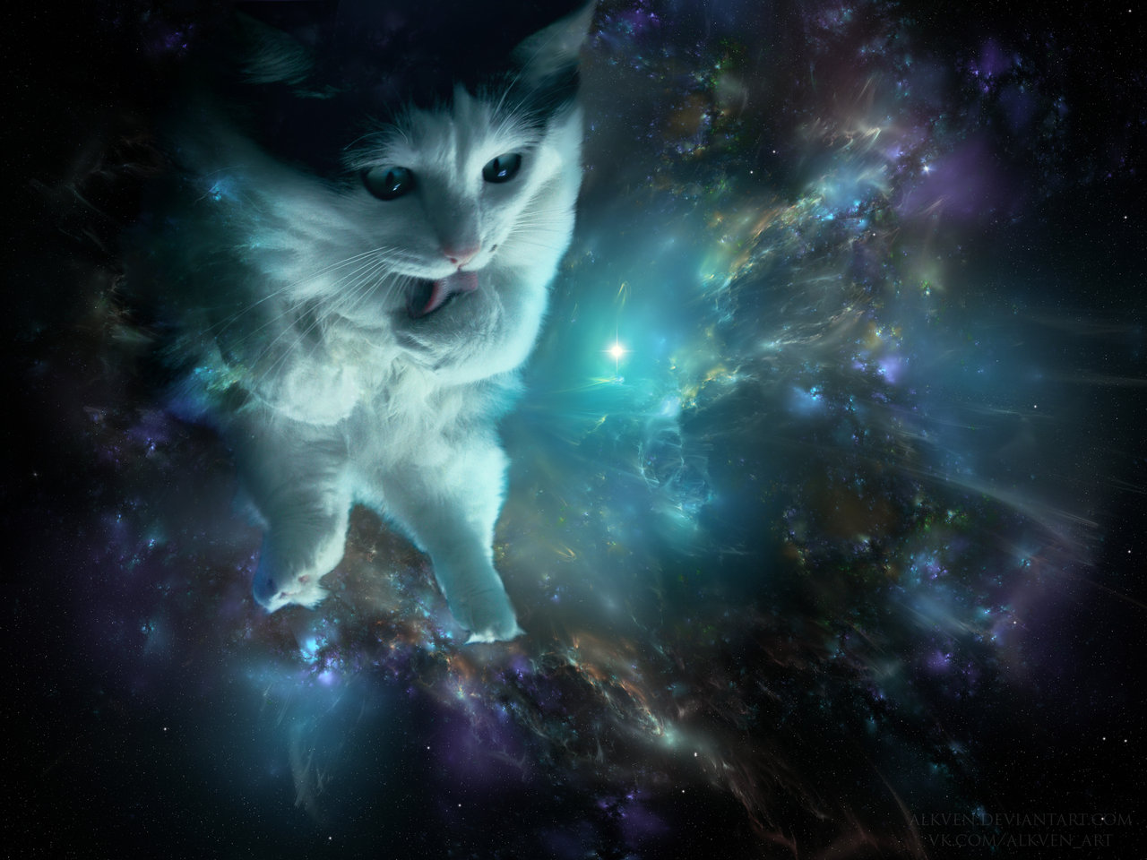 宇宙猫の壁紙,ネコ,ひげ,空,ネコ科,闇
