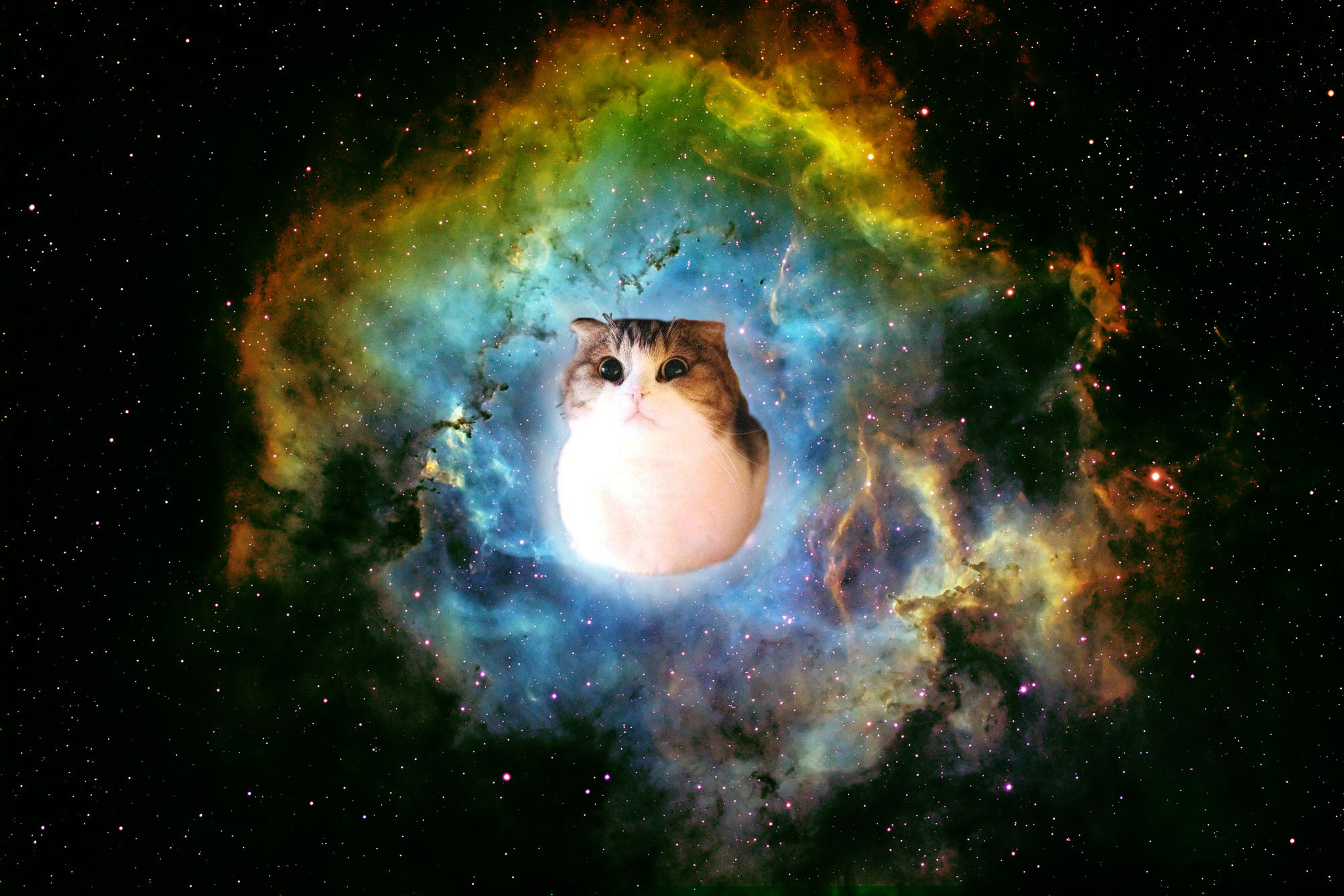 space cat wallpaper,outer space,astronomical object,nebula,sky,atmosphere