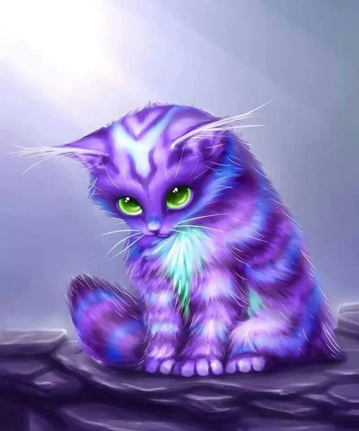 fond d'écran d'art de chat,chat,violet,moustaches,félidés,chaton