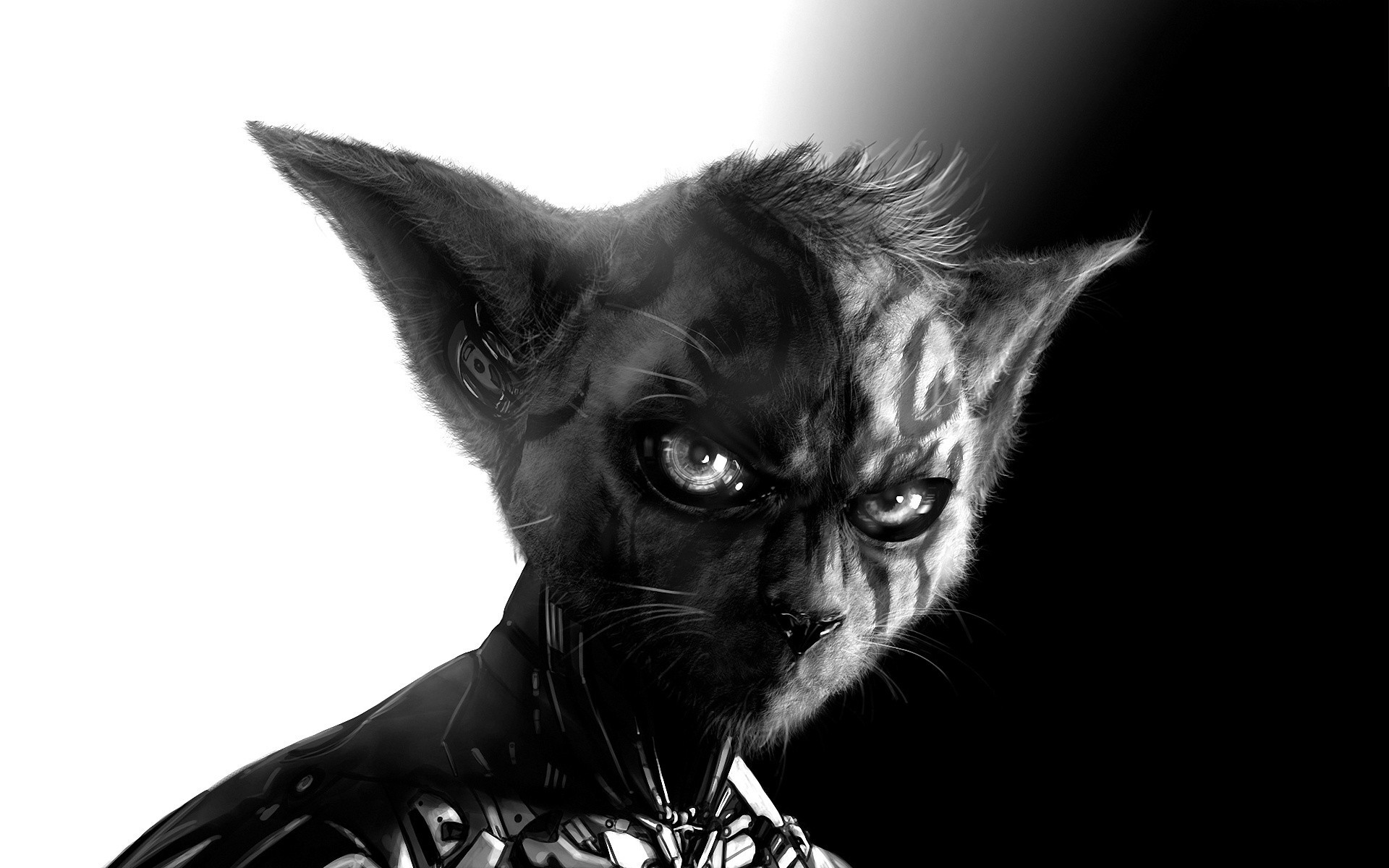 cat art wallpaper,cat,whiskers,felidae,small to medium sized cats,black cat