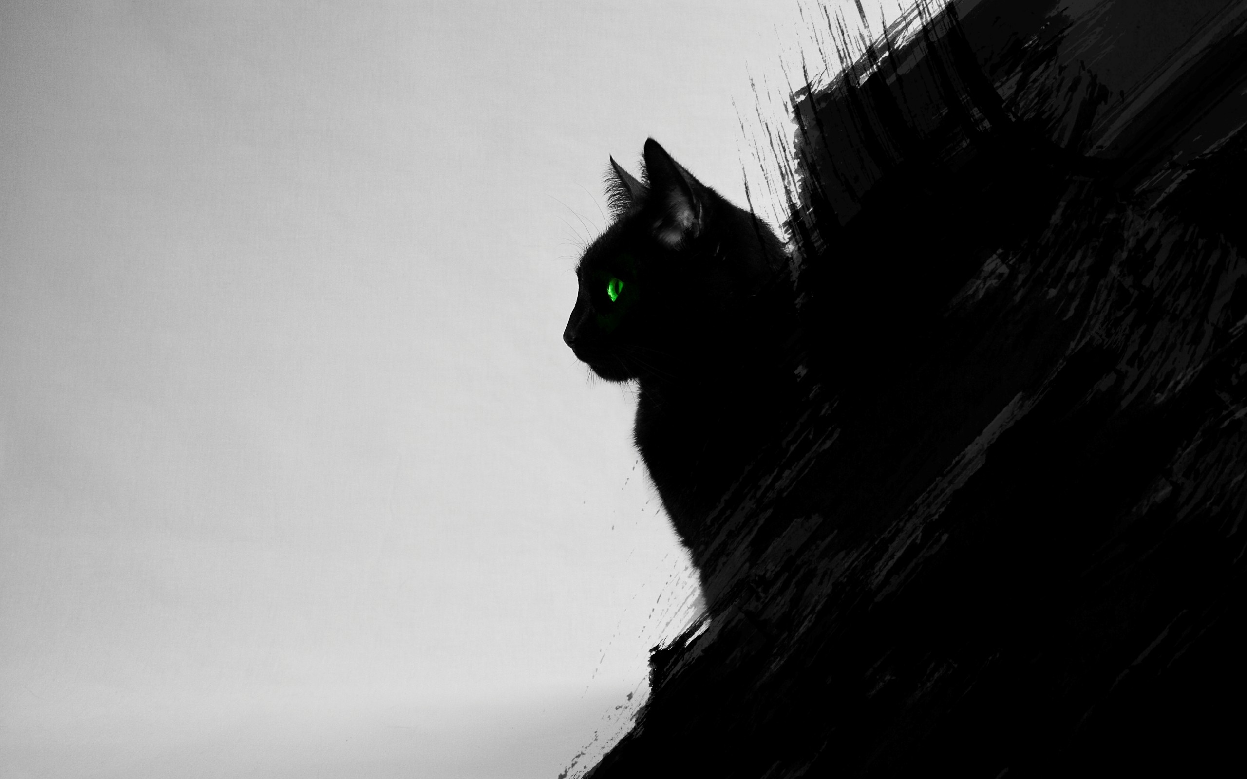모바일 고양이 벽지,고양이,검정,검은 고양이,하얀,구레나룻