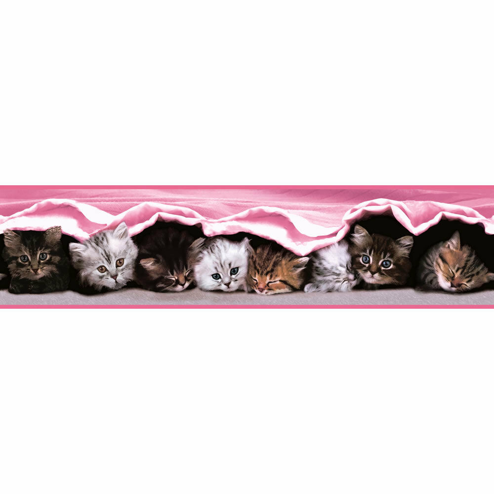 bordure de papier peint de chat,chat,félidés,chaton,chats de petite à moyenne taille