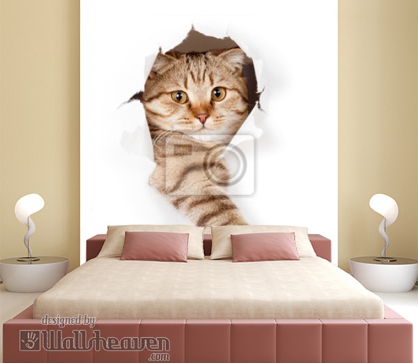 papier peint chat pour murs,chat,félidés,chats de petite à moyenne taille,chat tigré,chaton