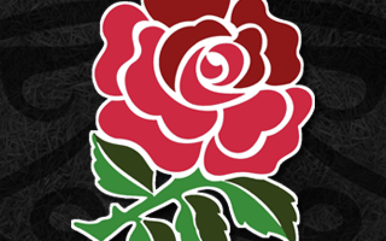イングランドラグビー壁紙,ローズ,庭のバラ,ピンク,赤,葉