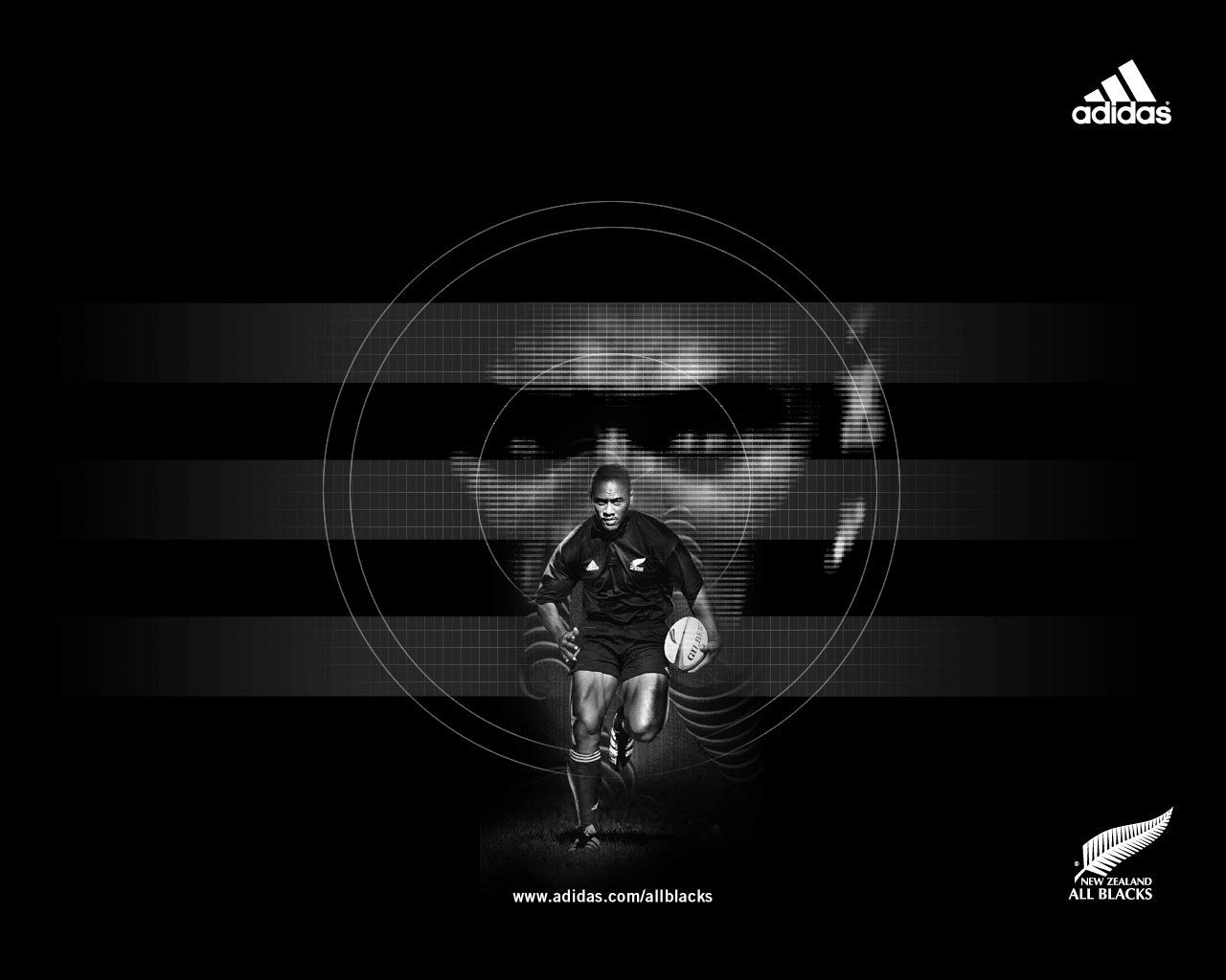 all black rugby wallpaper,black,photograph,darkness,black and white,text