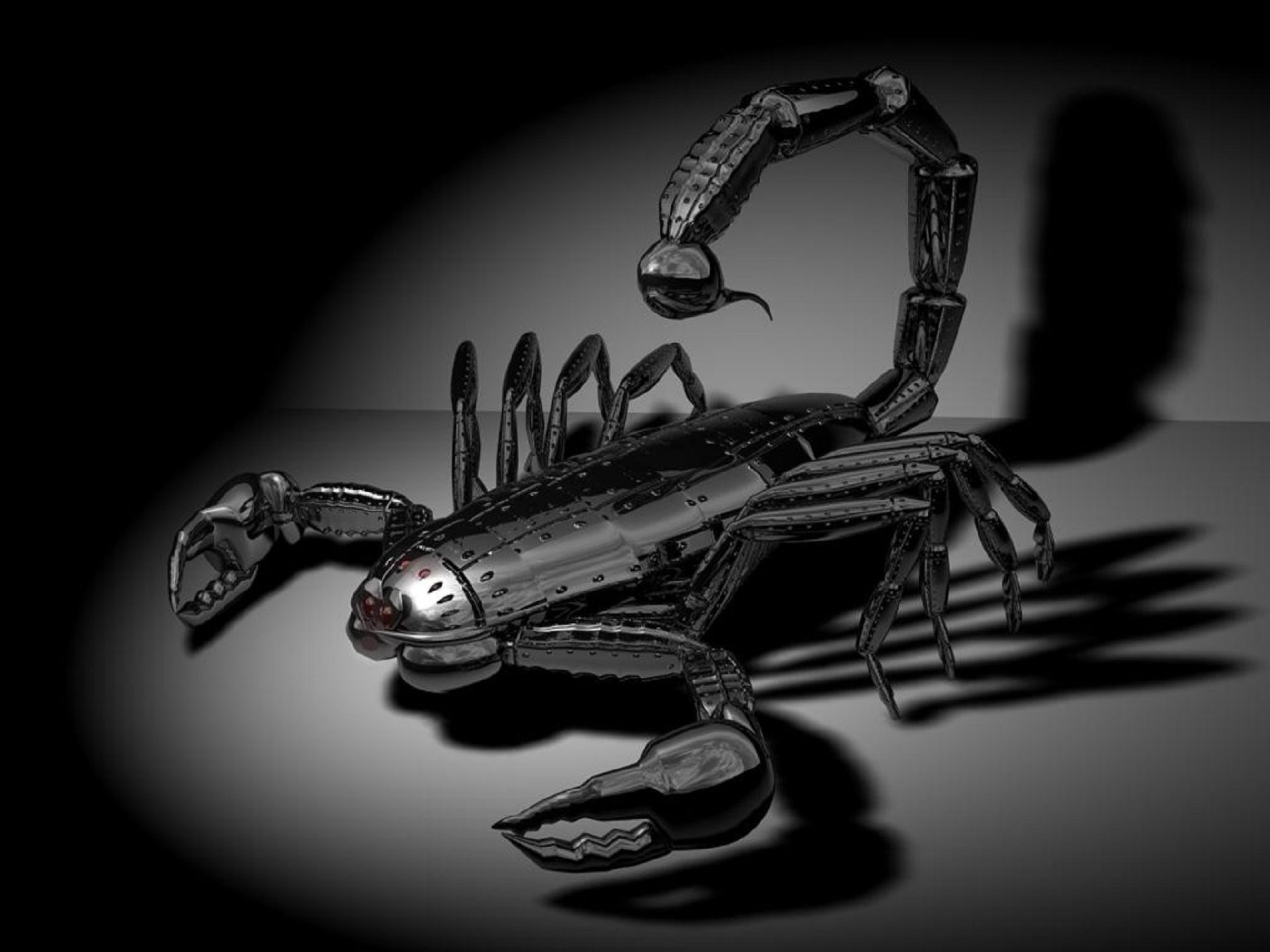 3d scorpion wallpaper,monochrome,crab,claw,scorpion,decapoda