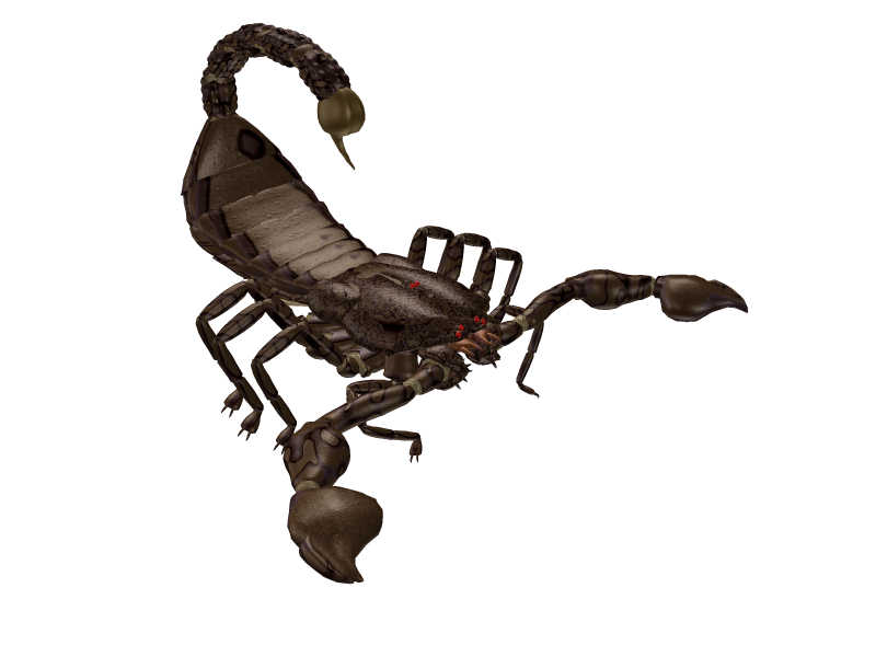 fondo de pantalla de escorpión 3d,escorpión,invertebrado,insecto,figura animal,artrópodo