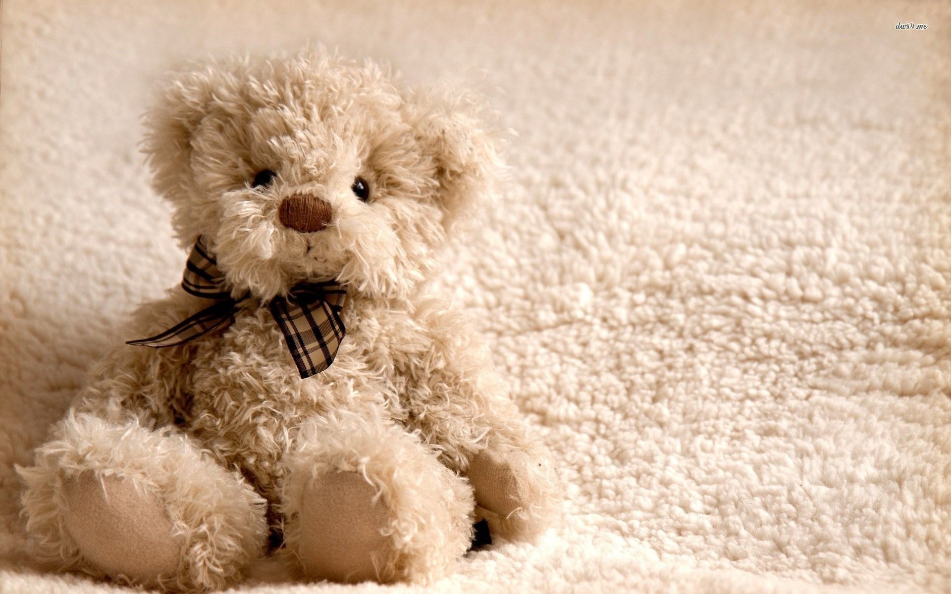 teddybär wallpaper kostenloser download,teddybär,plüschtier,spielzeug