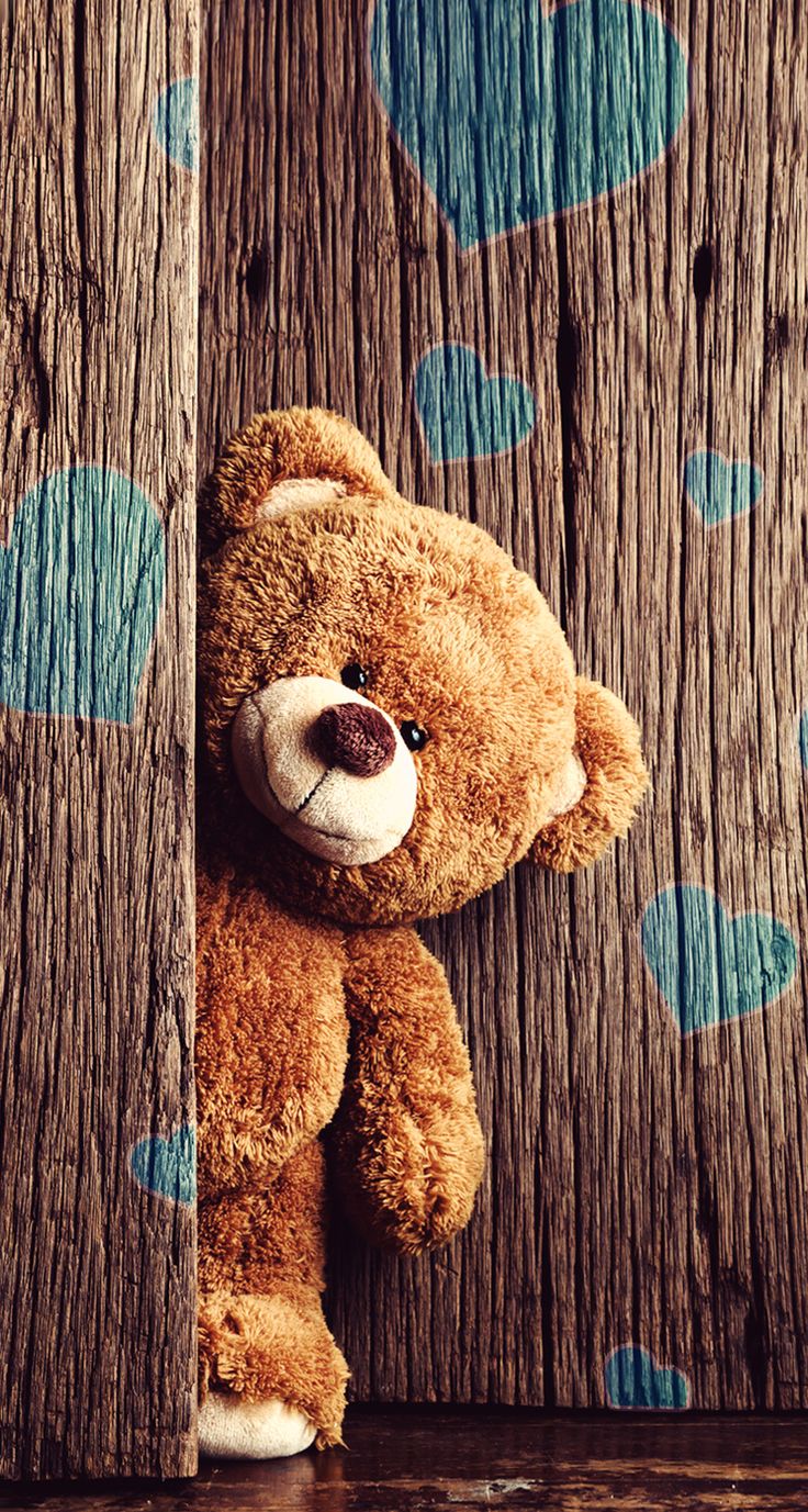 fonds d'écran teddy pour mobile,ours en peluche,jouet,jouet en peluche,marron,ours