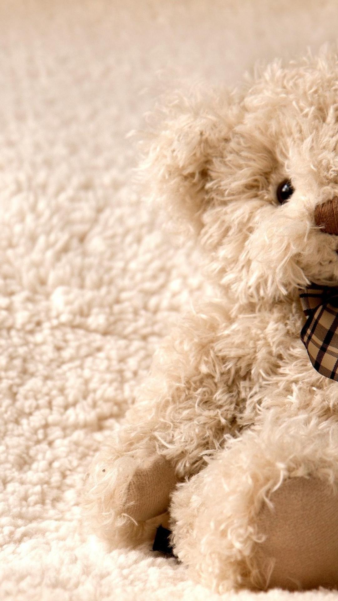 teddy wallpapers for mobile,maltepoo,dog,canidae,teddy bear,nose