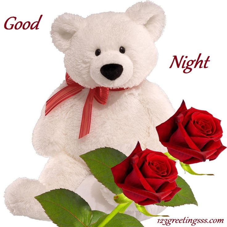 gute nacht teddybär tapete,teddybär,plüschtier,rot,rose,valentinstag