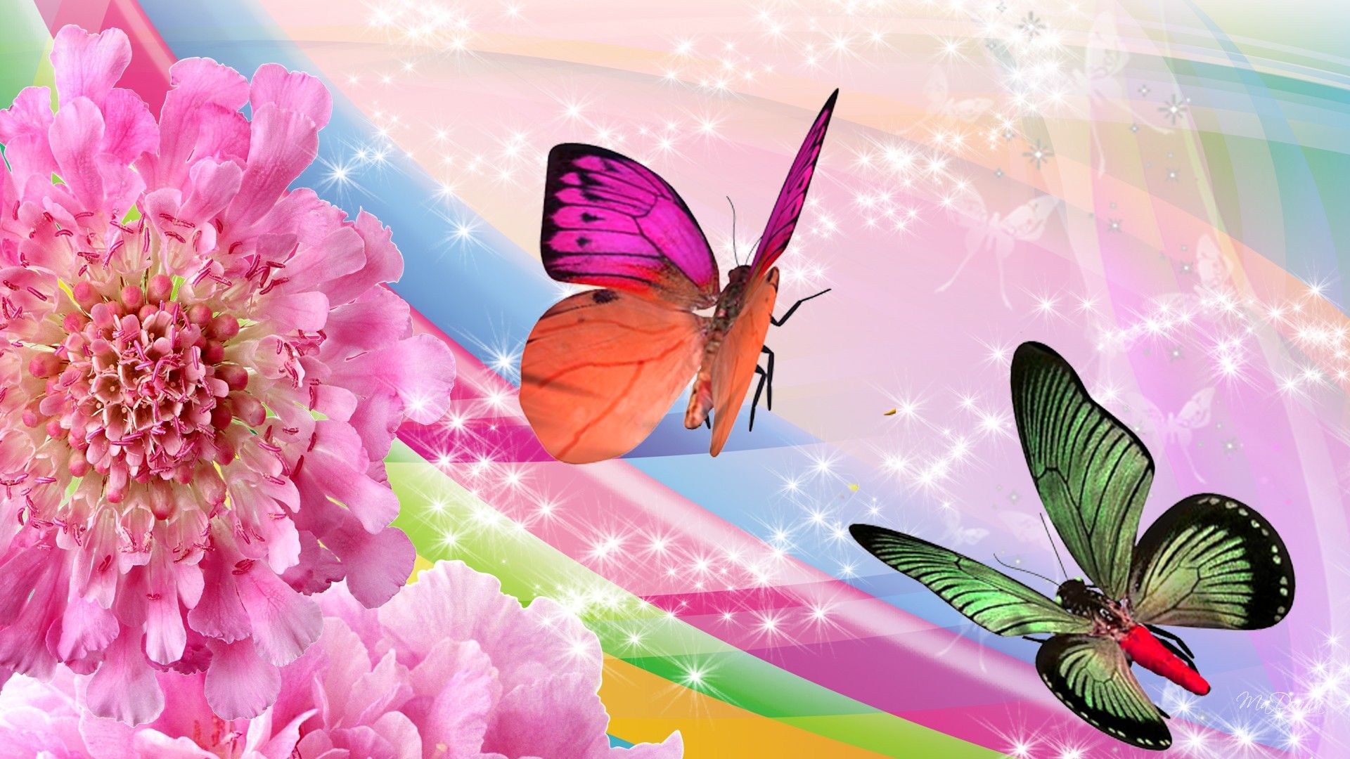 마리포사 배경 화면,나비,곤충,나방과 나비,분홍,무척추 동물