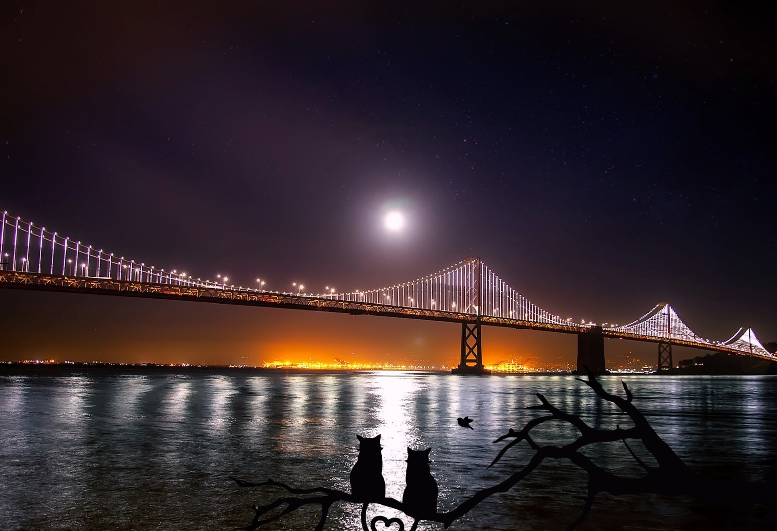 san francisco fond d'écran hd,pont,ciel,nuit,l'eau,pont suspendu