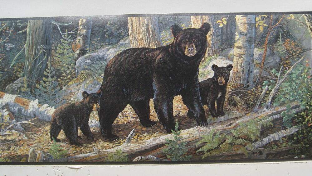 bear wallpaper border,vertebrate,mammal,wildlife,bear,painting