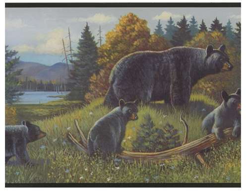 bear wallpaper border,grizzly bear,bear,wildlife,brown bear,landscape
