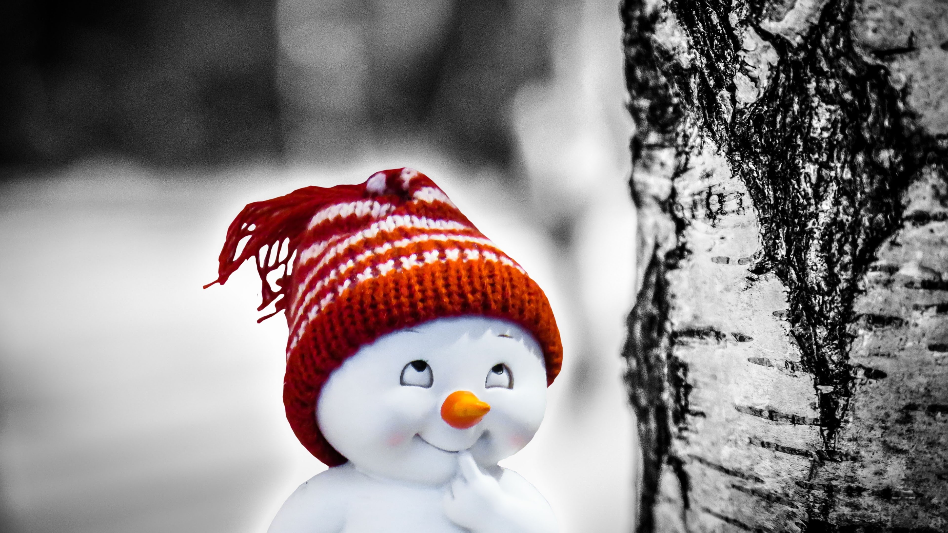 pupazzo di neve sfondi hd,pupazzo di neve,inverno,neve,albero,berretto a maglia