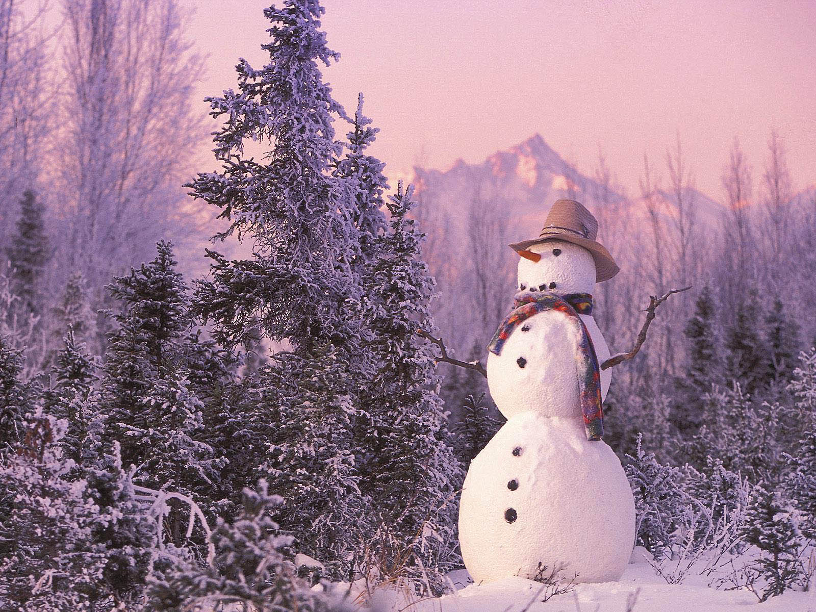 귀여운 눈사람 벽지,눈사람,눈,겨울,동결,나무