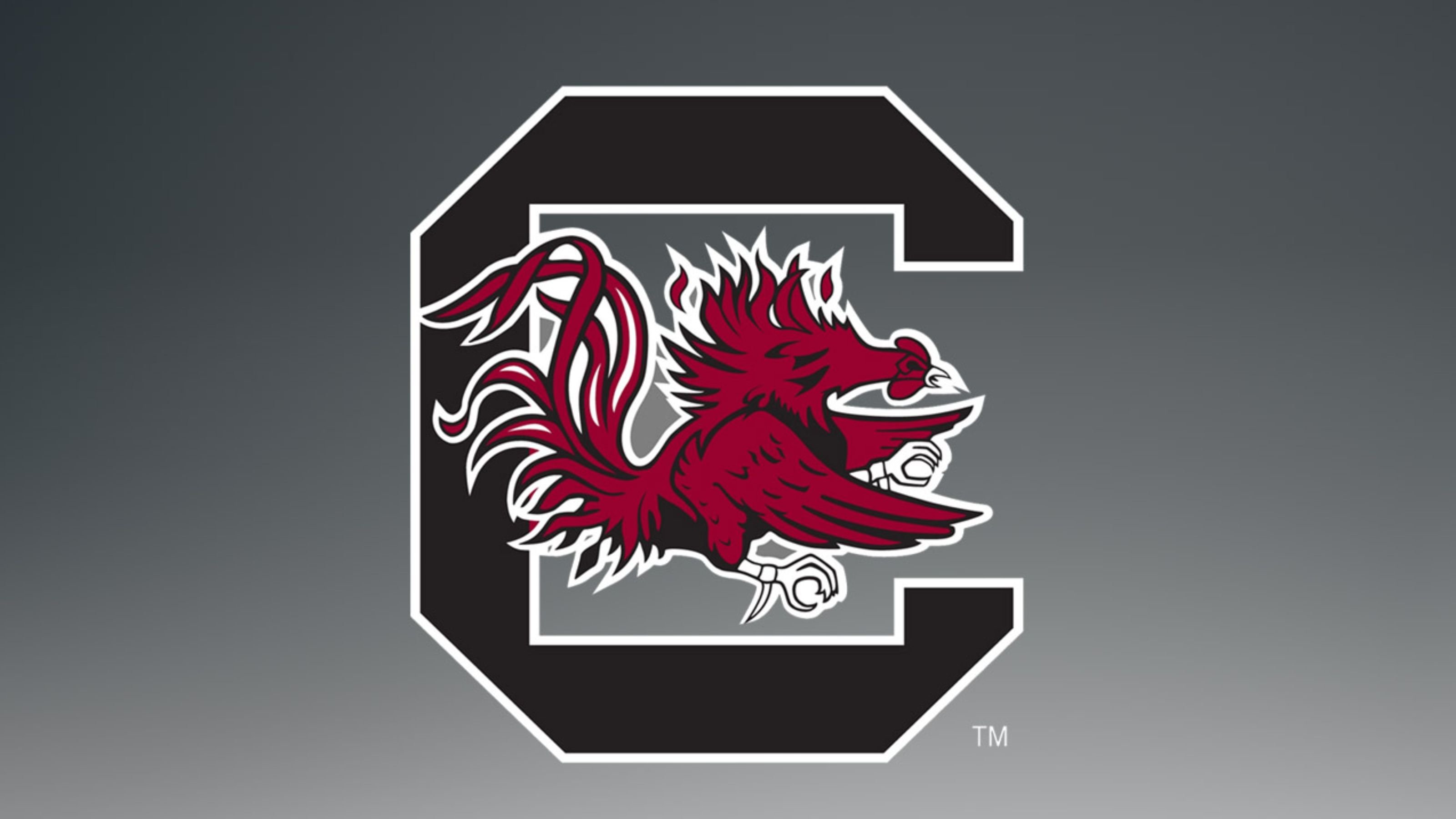 south carolina gamecocks wallpaper,illustration,grafik,hahn,schriftart,emblem