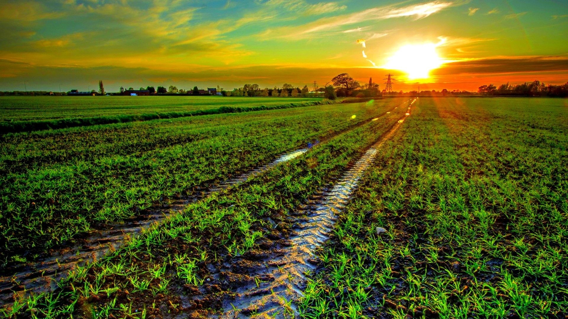 track and field wallpaper,field,nature,sky,agriculture,crop