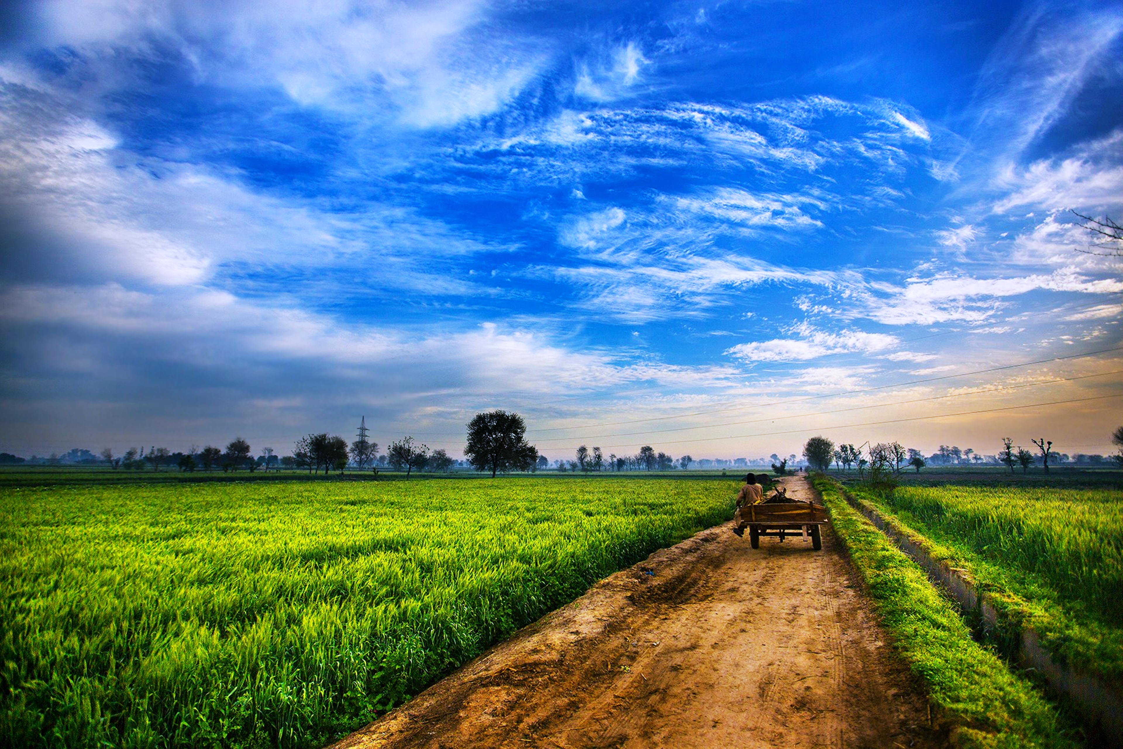 agricultura fondos de pantalla hd,cielo,paisaje natural,campo,naturaleza,verde