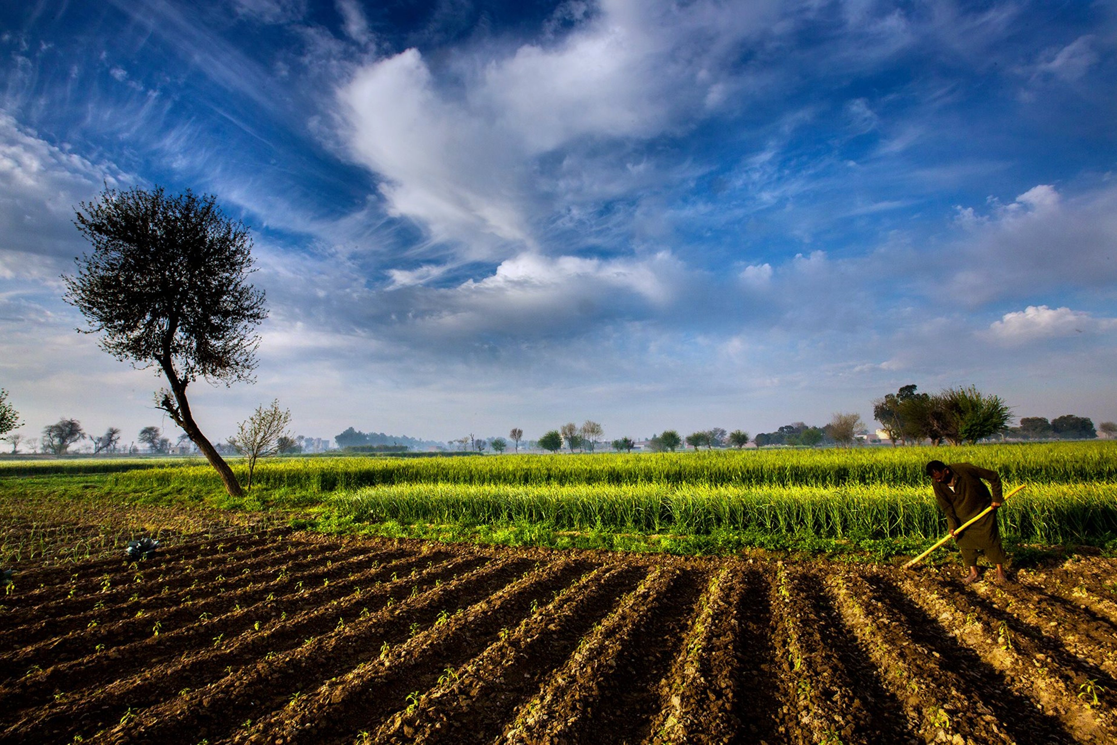 bauernhof tapete hd,feld,himmel,natur,landwirtschaft,bauernhof