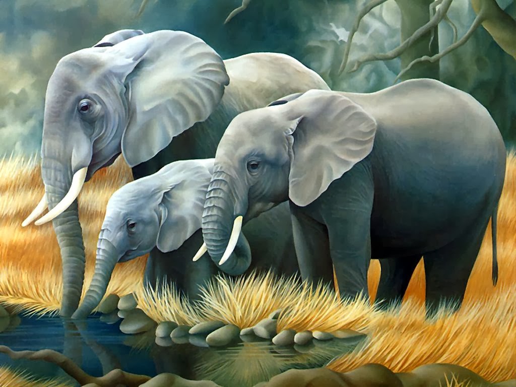 cute elephant wallpaper,elephant,terrestrial animal,elephants and mammoths,vertebrate,wildlife