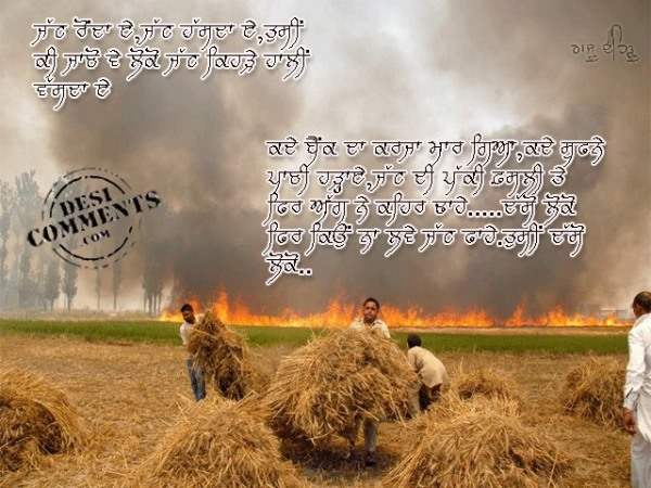 punjabi tractor wallpaper,straw,hay,grass family,font,adaptation