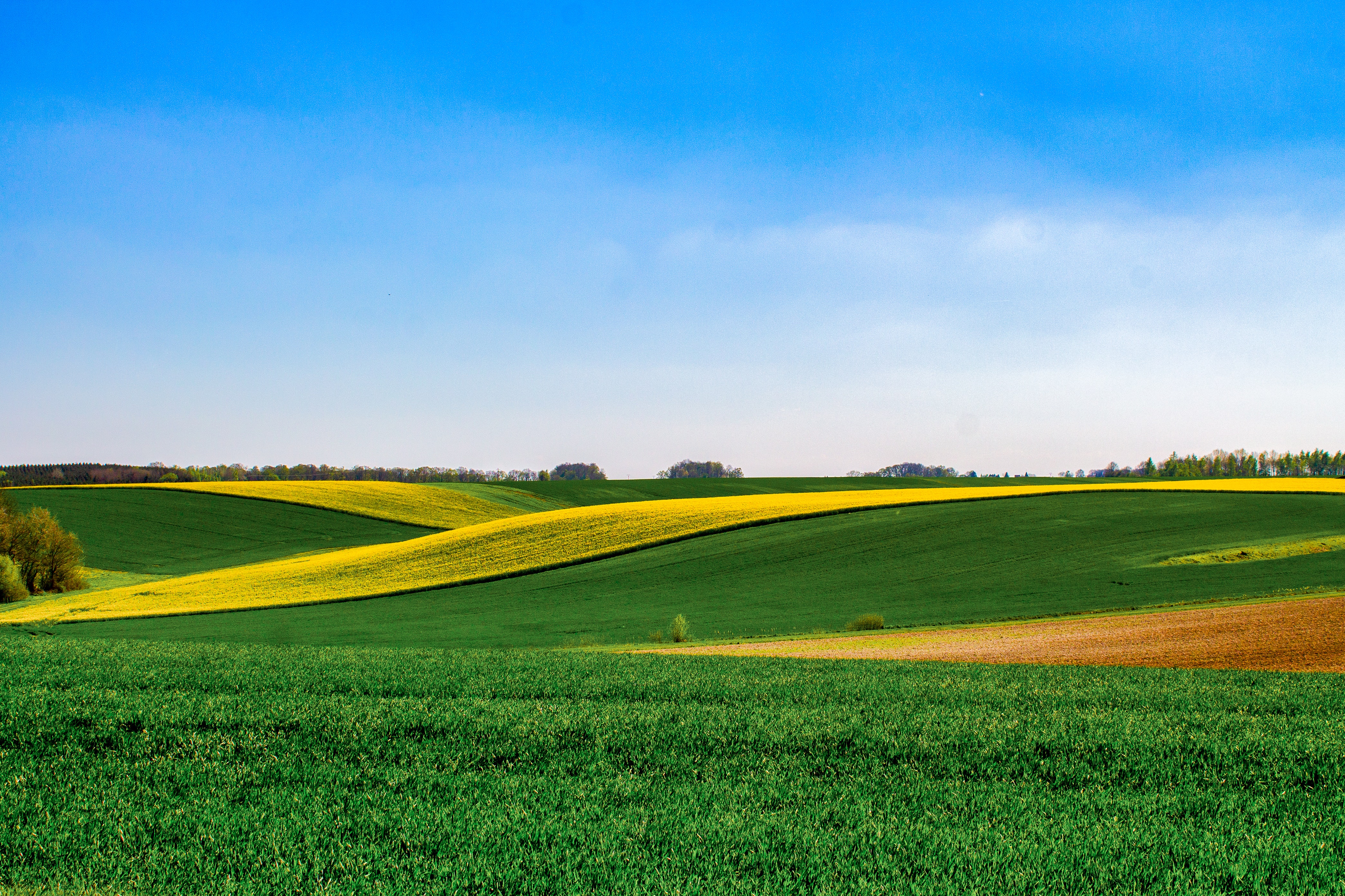 agriculture wallpaper,grassland,natural landscape,field,green,nature