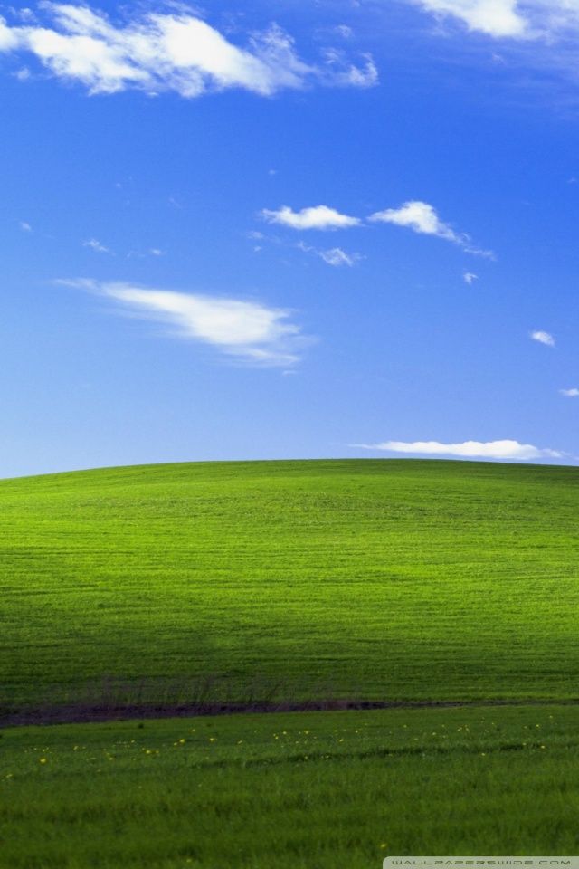 windows desktop wallpaper hd,grassland,sky,green,field,natural landscape