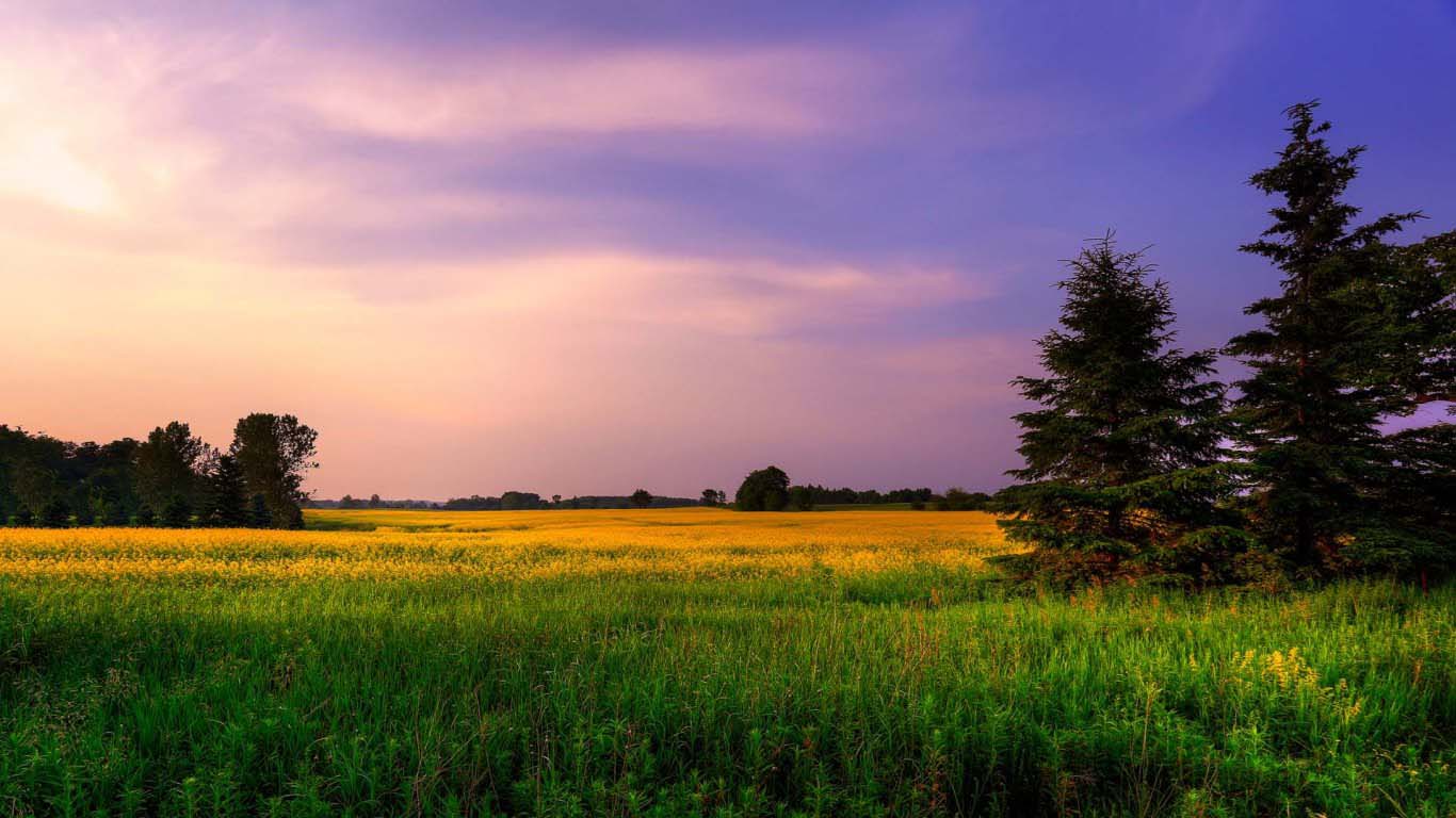 natural images hd wallpaper desktop background,sky,natural landscape,nature,field,meadow