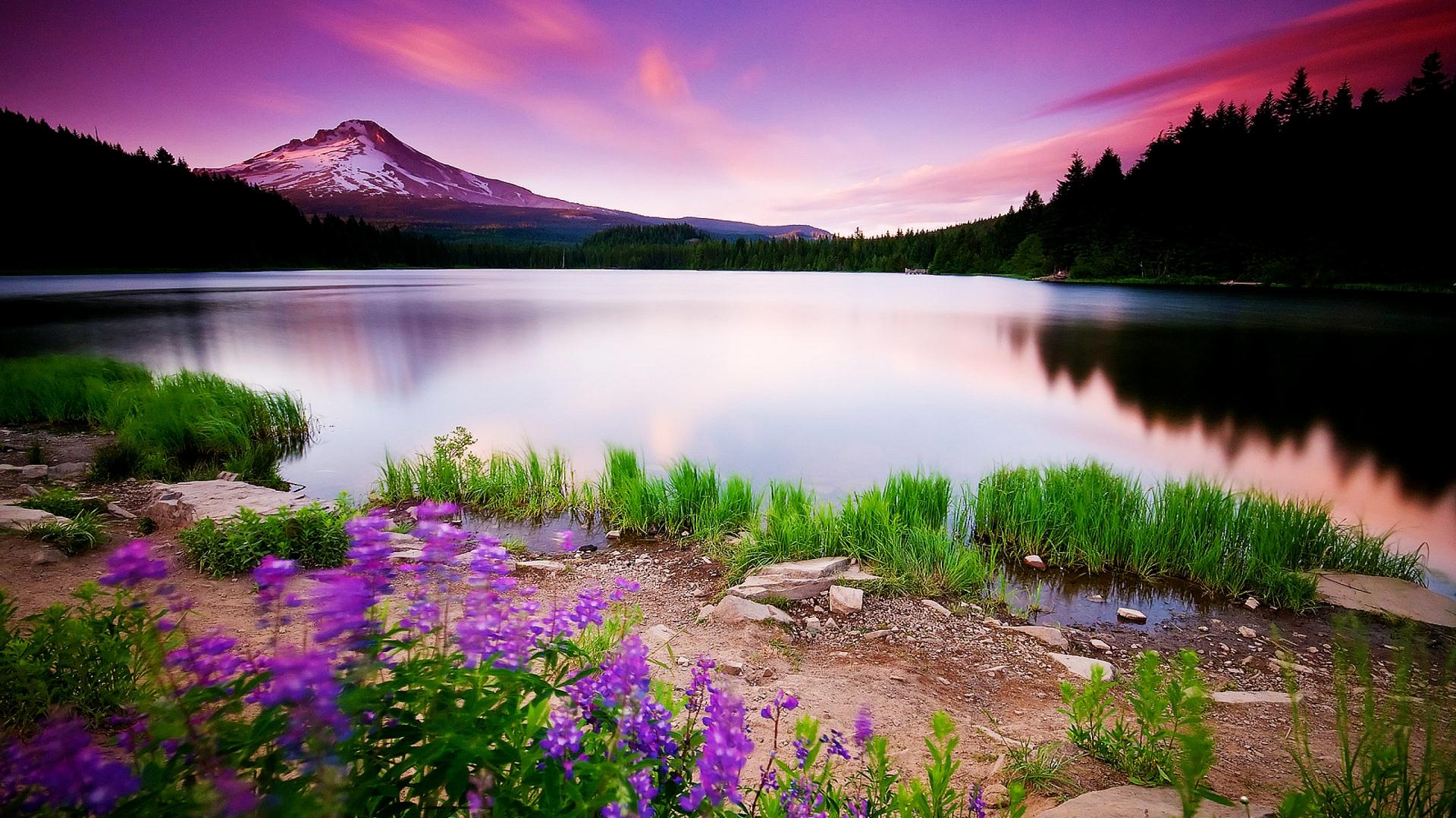 natural images hd wallpaper desktop background,natural landscape,nature,lake,wilderness,reflection