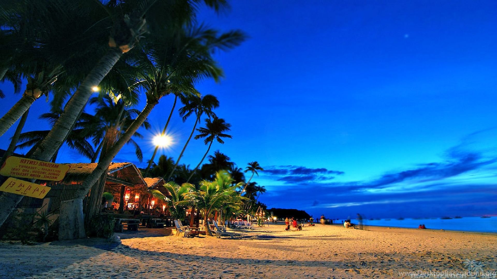 night beach wallpaper,sky,beach,tropics,tree,palm tree