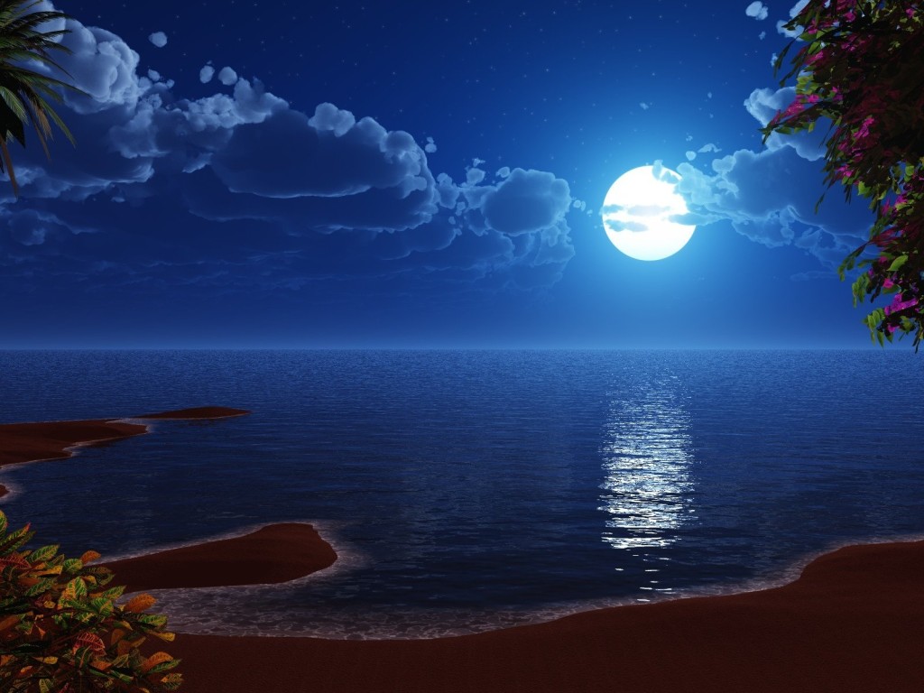 fond d'écran de plage de nuit,ciel,la nature,paysage naturel,lumière,clair de lune