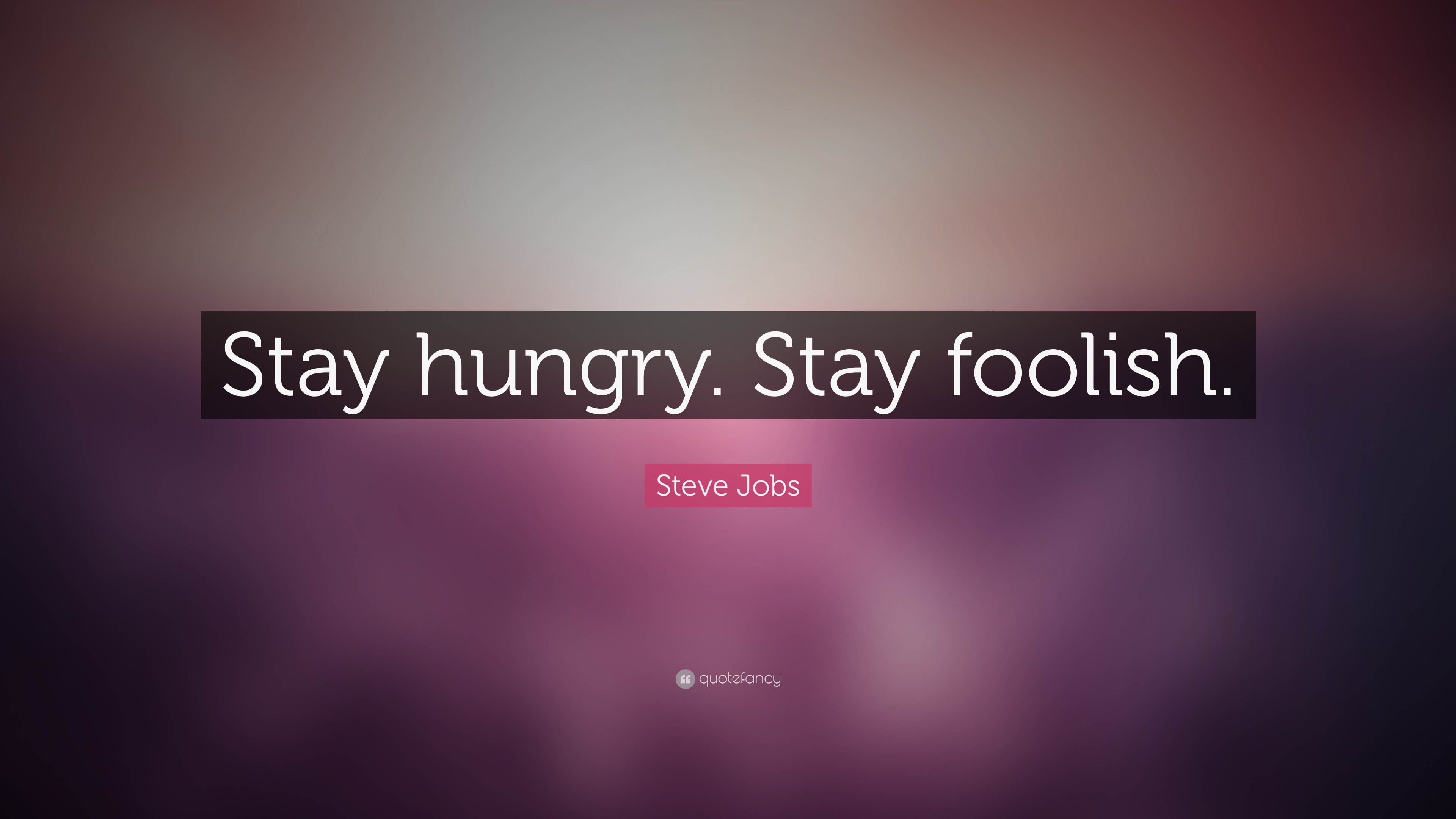 stay hungry wallpaper,text,font,purple,violet,magenta