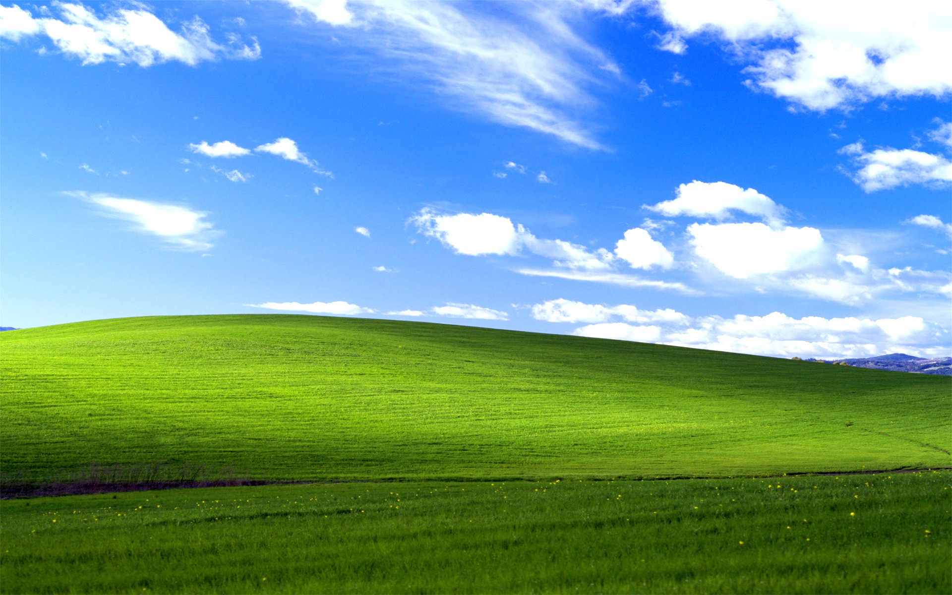 2000 wallpaper,grassland,green,sky,natural landscape,nature