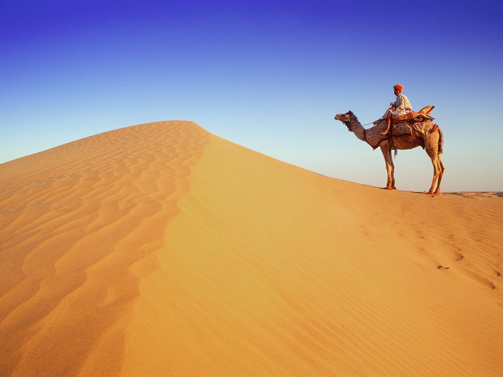 traveller wallpaper,desert,camel,sand,natural environment,arabian camel