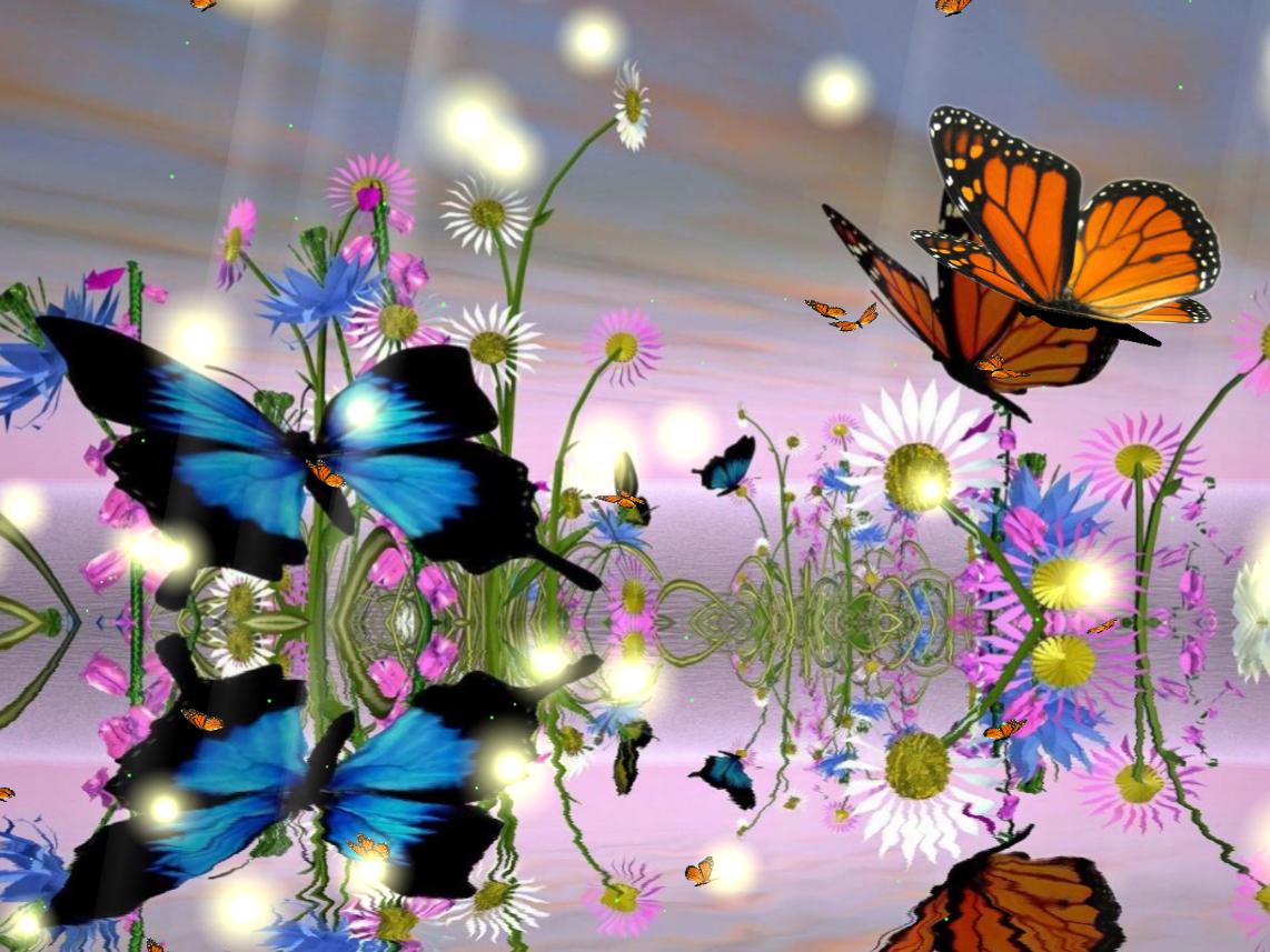 fond d'écran animé de papillon,papillon,sous genre de cynthia,insecte,papillons et papillons,la nature