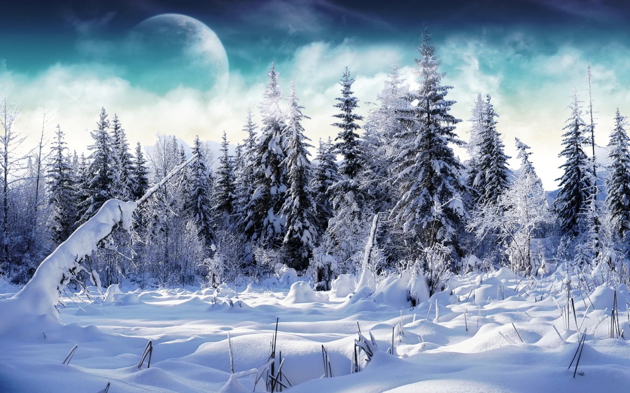 fondo de pantalla de computadora de invierno,invierno,nieve,naturaleza,paisaje natural,congelación