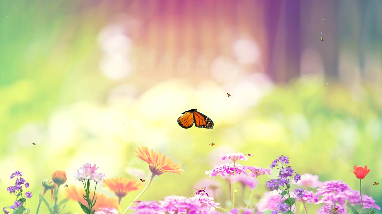 animated butterfly wallpaper,butterfly,insect,nature,pollinator,moths and butterflies