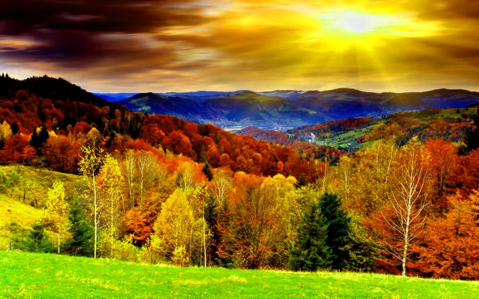가을 배경 벽지,자연 경관,자연,하늘,잎,언덕
