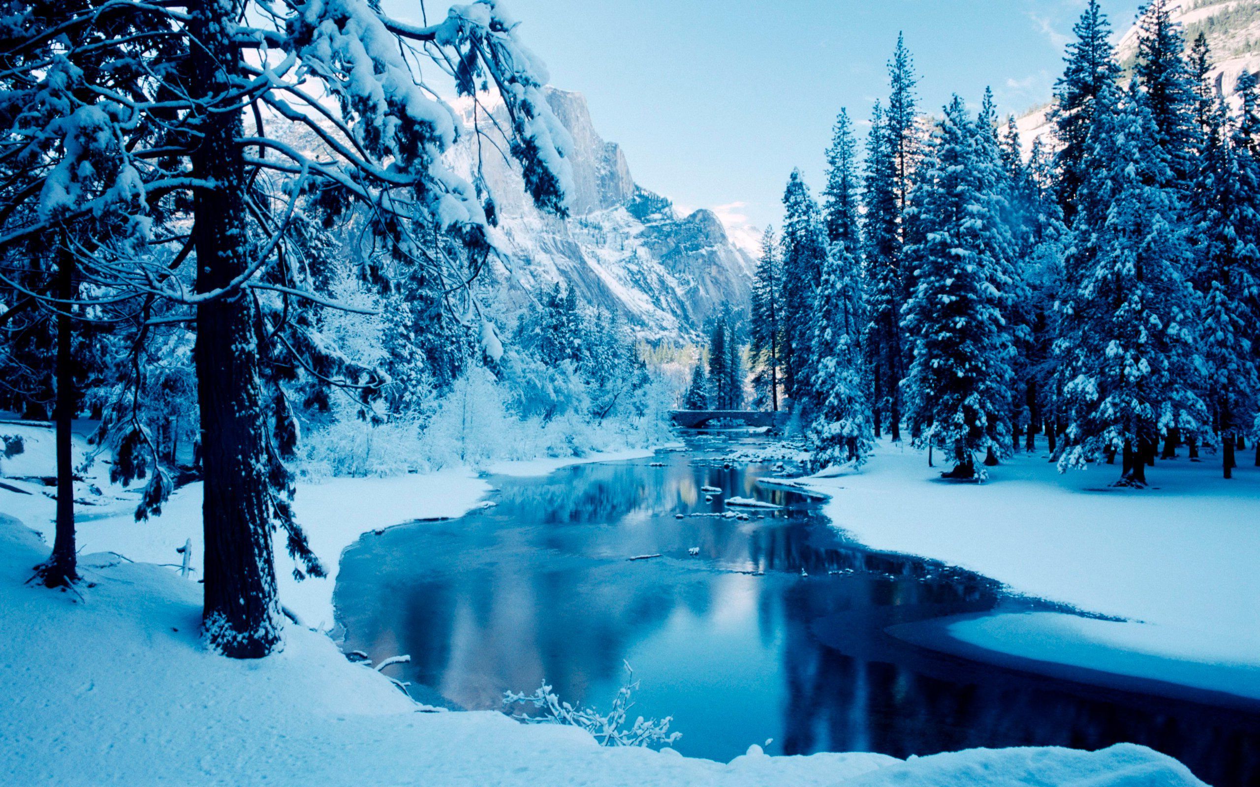 sfondo del computer invernale,neve,inverno,paesaggio naturale,natura,congelamento