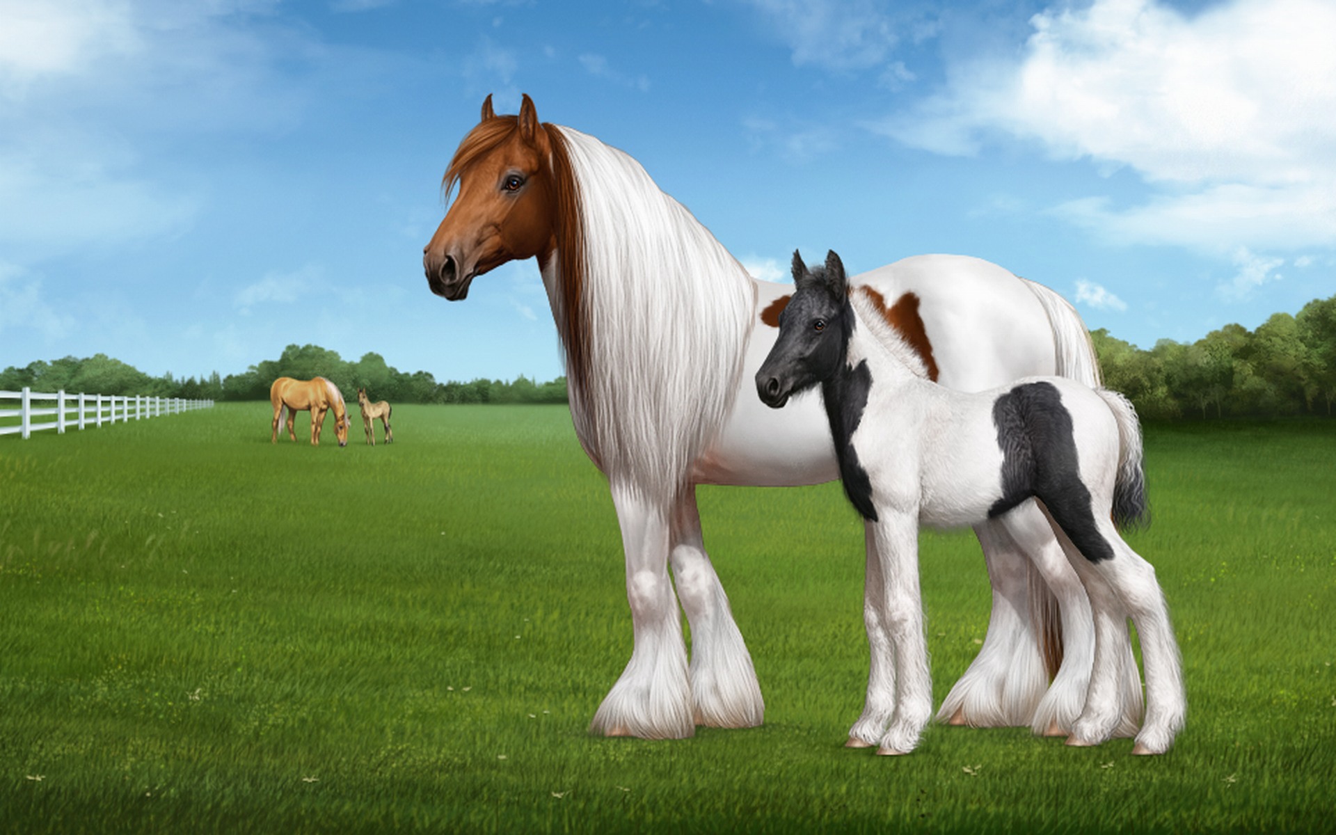 fondo de pantalla ecuestre,caballo,melena,semental,yegua,mustang caballo