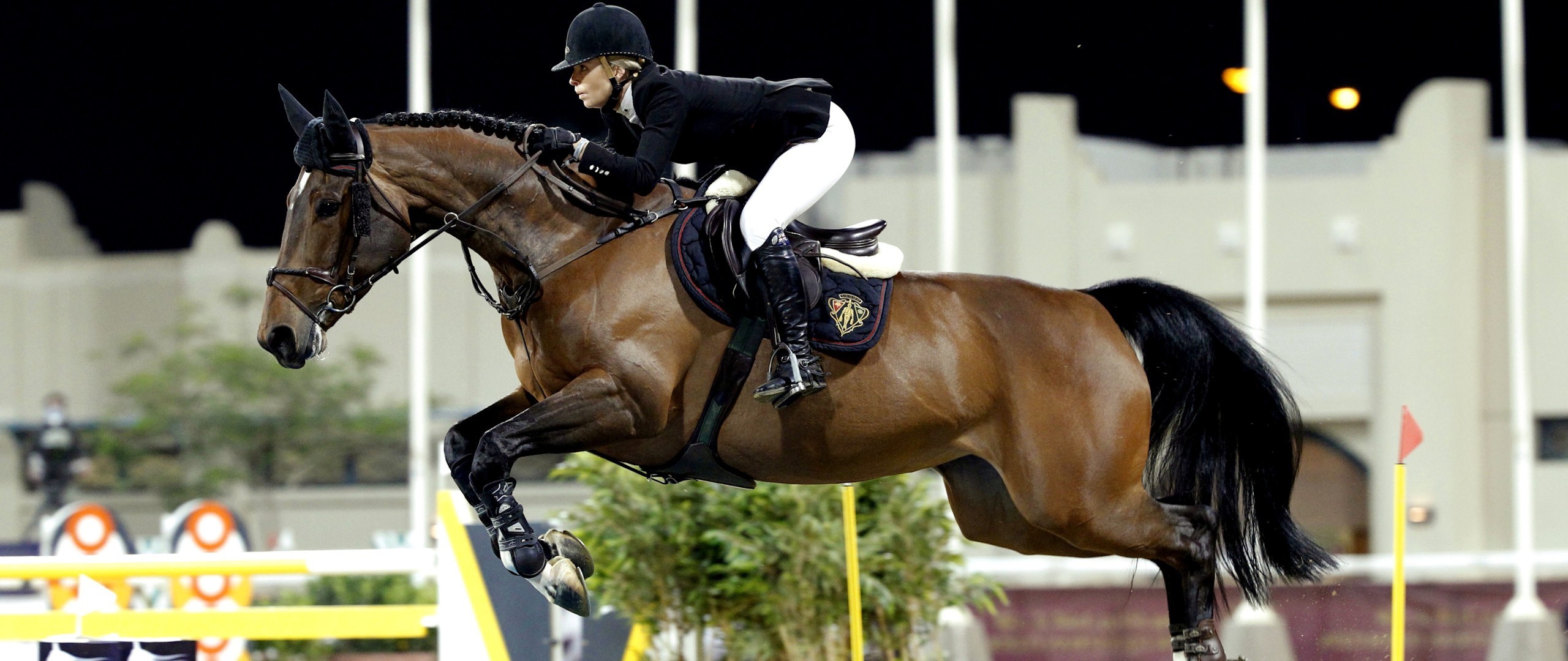 fond d'écran équestre,cheval,bride,des sports