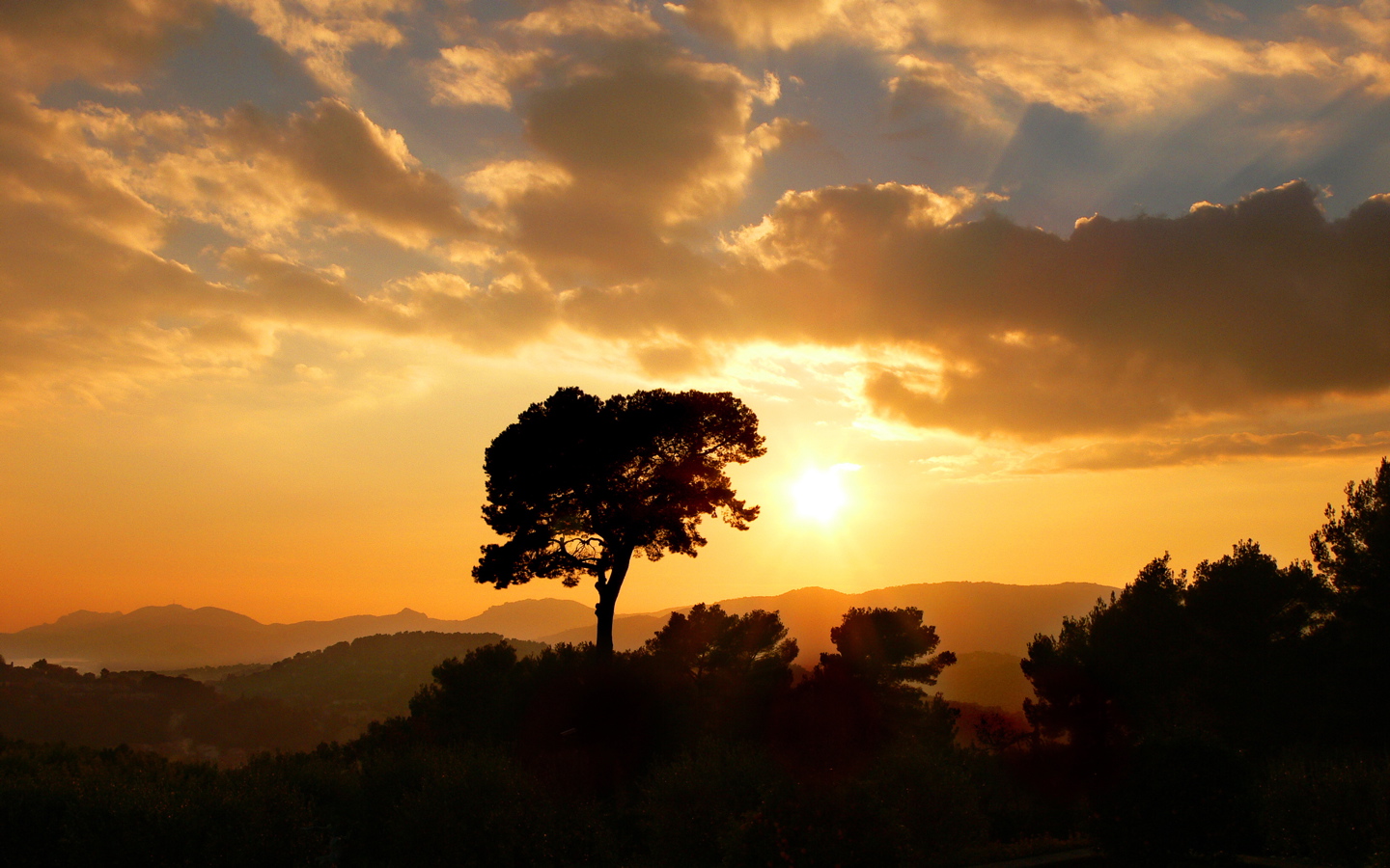 montañas wallpaper,sky,nature,natural landscape,tree,cloud