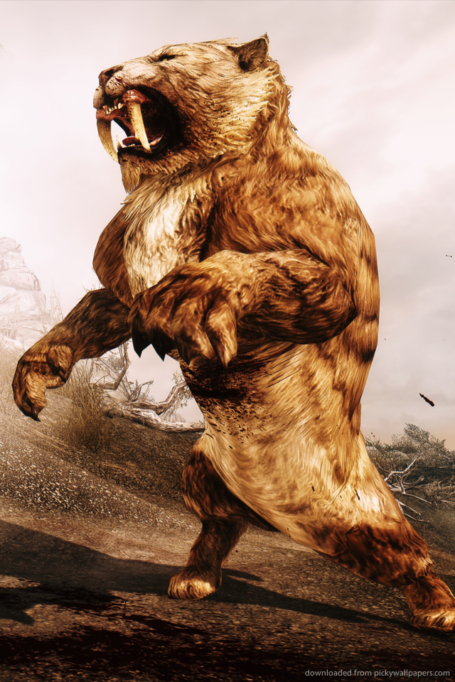 saber tooth tiger wallpaper,brown bear,grizzly bear,bear,kodiak bear,carnivore