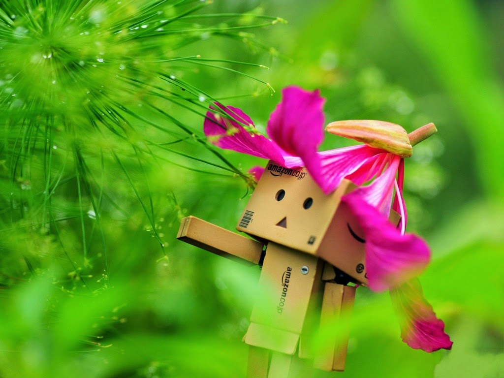 gambar wallpaper cute,green,pink,plant,flower,spring