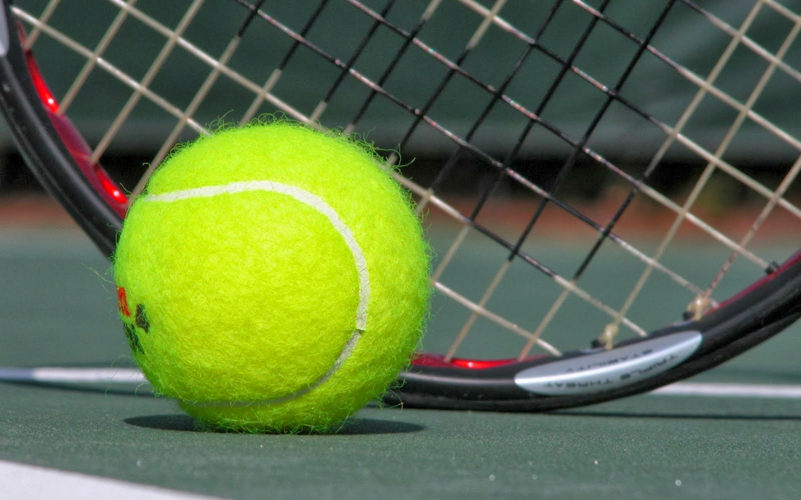 fondo de pantalla de tenis,pelota de tenis,raqueta de tenis,tenis,equipo deportivo,accesorio de raqueta de tenis