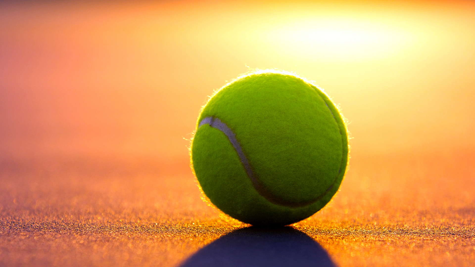 fond d'écran tenis,tennis,balle de tennis,couleur,lumière du soleil,sport de raquette