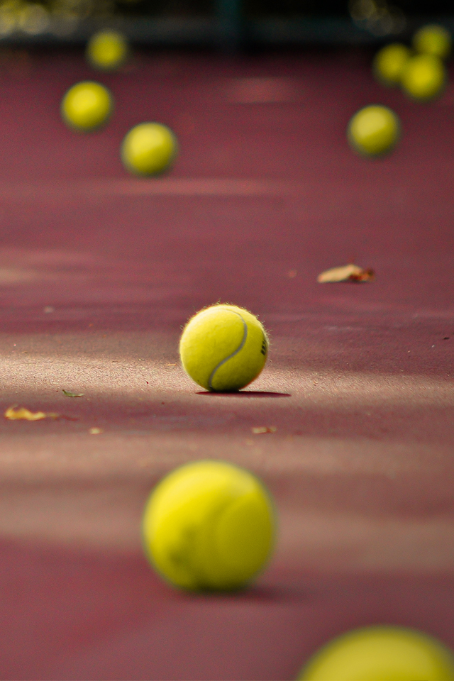 tenis fondos de pantalla iphone,pelota de tenis,pista de tenis,tenis,equipo deportivo,deporte de raqueta